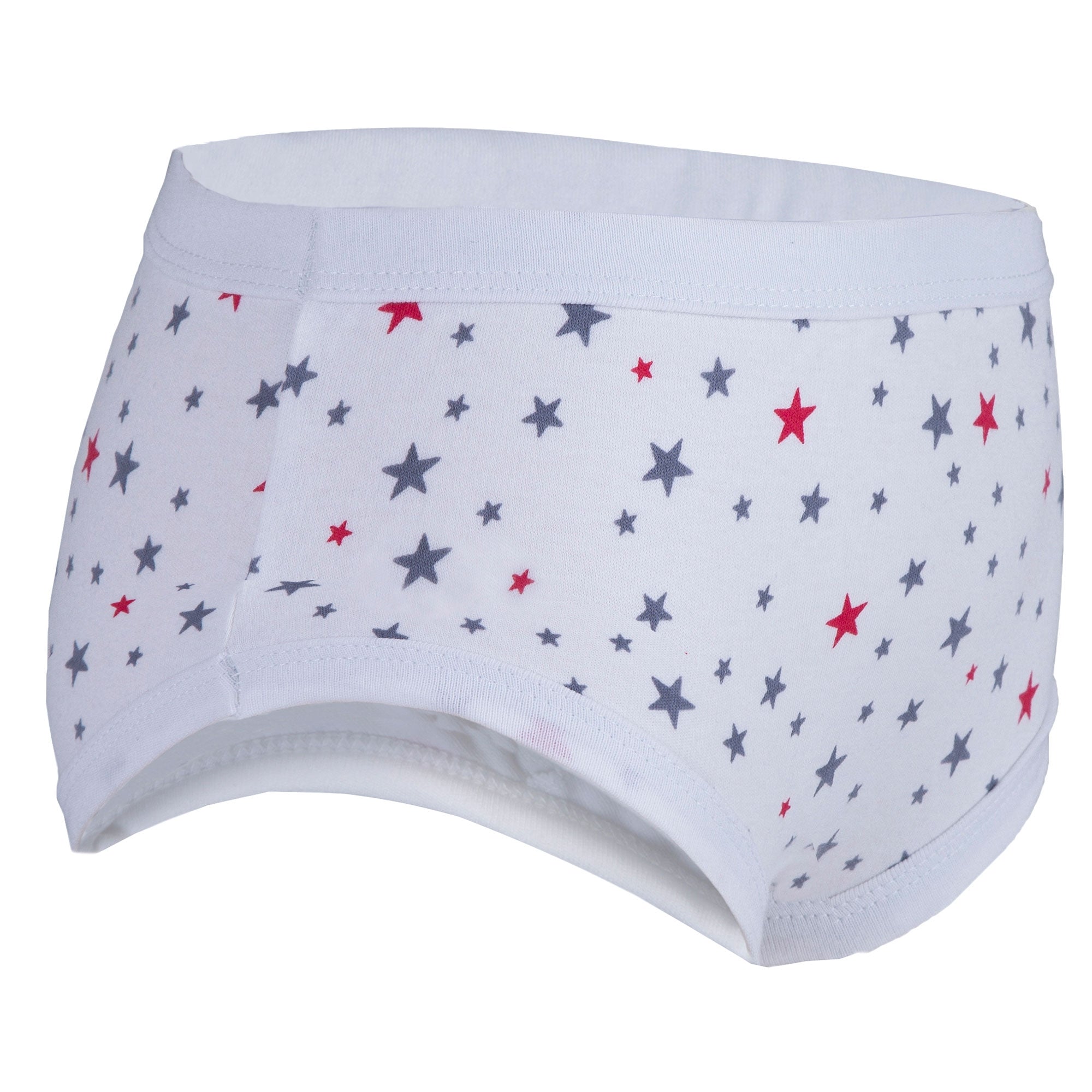  BATTEWA 2-Pack Washable Incontinence Underwear for